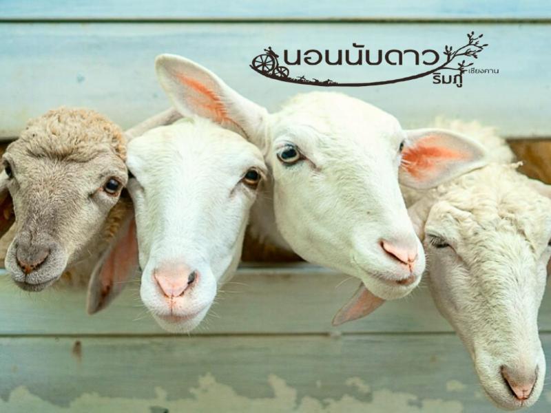 منتجع نورن ناب داو ريمفو تشيانغ خان المظهر الخارجي الصورة